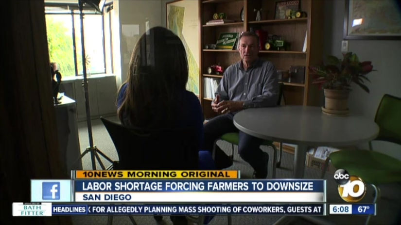 Labor shortage forcing farmers to downsize